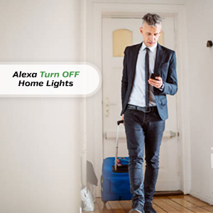 Smarteefi 16A WiFi Smart Switch for Heavy Appliances (AC, Geyser, Motor) Scheduling, Countdown Timer, Compatible with Alexa & Assistant, 2 Year Warranty (1 Port - 16A)