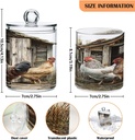 acrylic-plastic-clear-jar-with-lid-roost-2.jpg