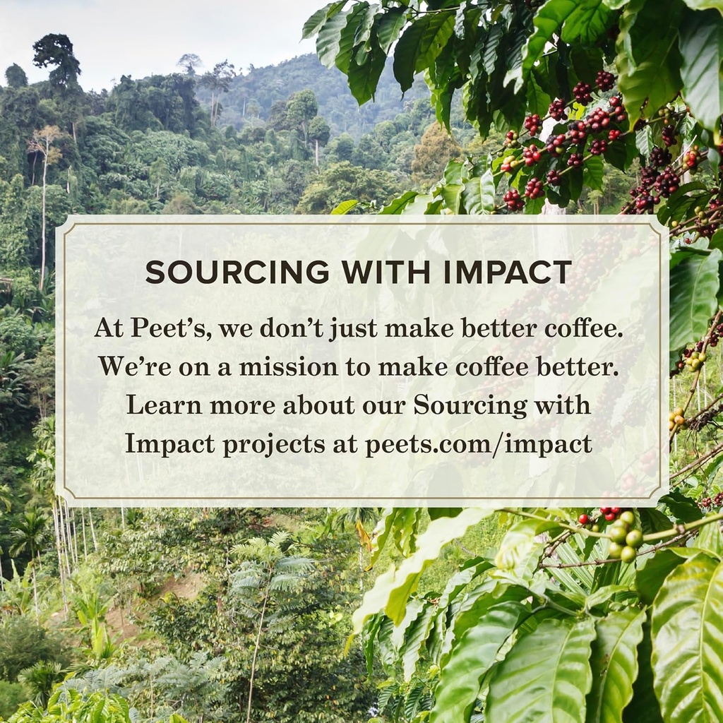 peets-coffee-medium-roast-keurig-k-cup-p-4.jpg