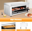 2000w-salamander-broiler-electric-cheese-2.jpg