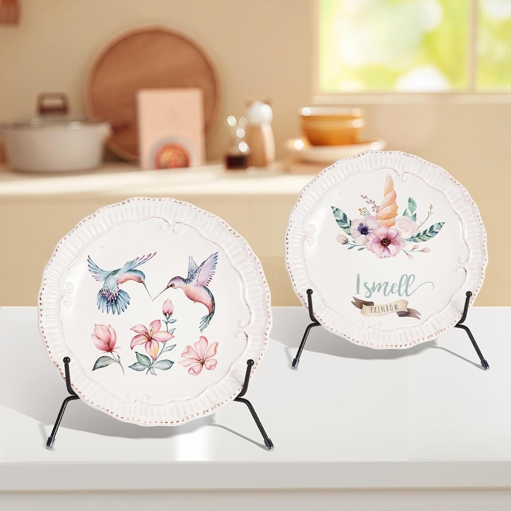 2-pack-12-inch-black-iron-plate-display--4.jpg