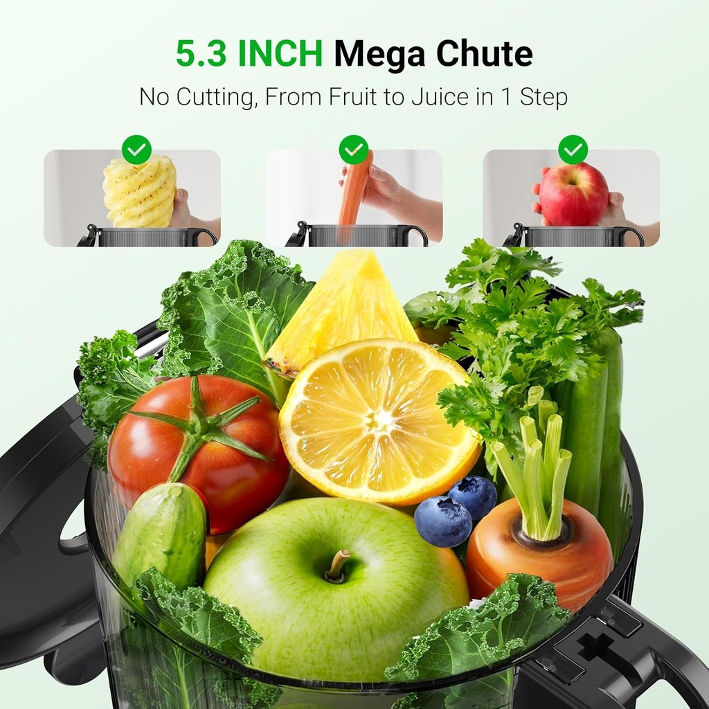 aeitto-max5-cold-press-juicer-with-53-ex-3.jpg