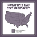 pennington-annual-ryegrass-grass-seed-10-6.jpg