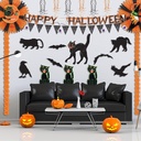 beistle-jointed-scratch-cat---black-5.jpg