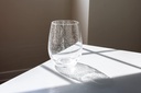 abbott-collection-seeded-stemless-wine-g-2.jpg