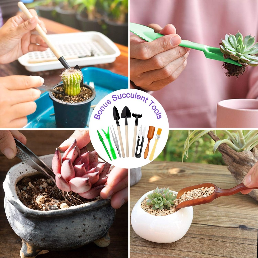 garden-tools-set-83-piece-succulent-tool-3.jpg