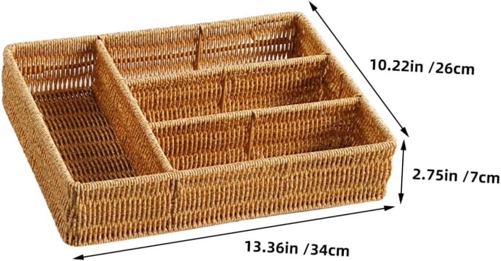 portable-divided-storage-tray-stylish-or-2.jpg