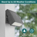 kadision-30w-led-wall-pack-light-with-du-6.jpg
