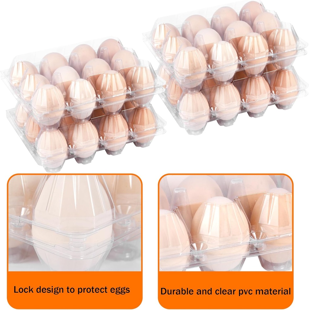 50-pack-12-count-plastic-egg-cartons---b-3.jpg