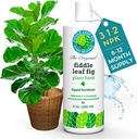 fiddle-leaf-fig-plant-food-312-balanced--2.jpg