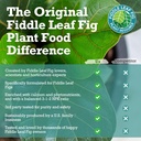 fiddle-leaf-fig-plant-food-312-balanced--6.jpg