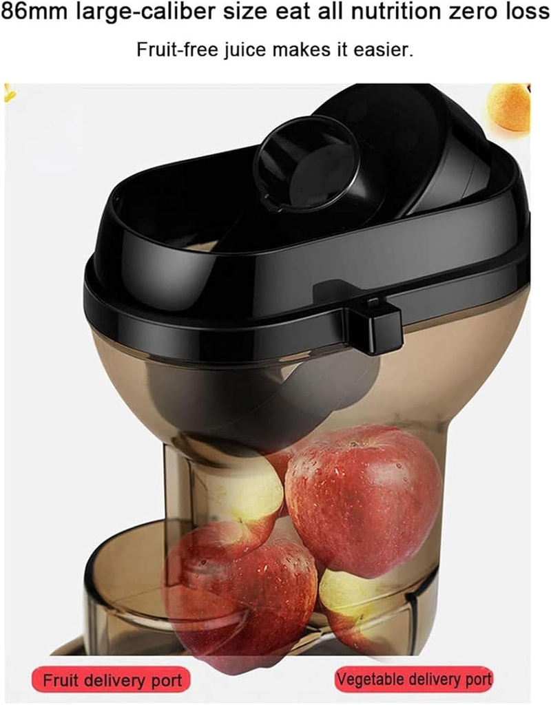 vertical-slow-masticating-pure-juicer-co-6.jpg