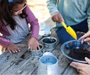 buzzy-seeds-sage-green-painted-basin-str-6.jpg