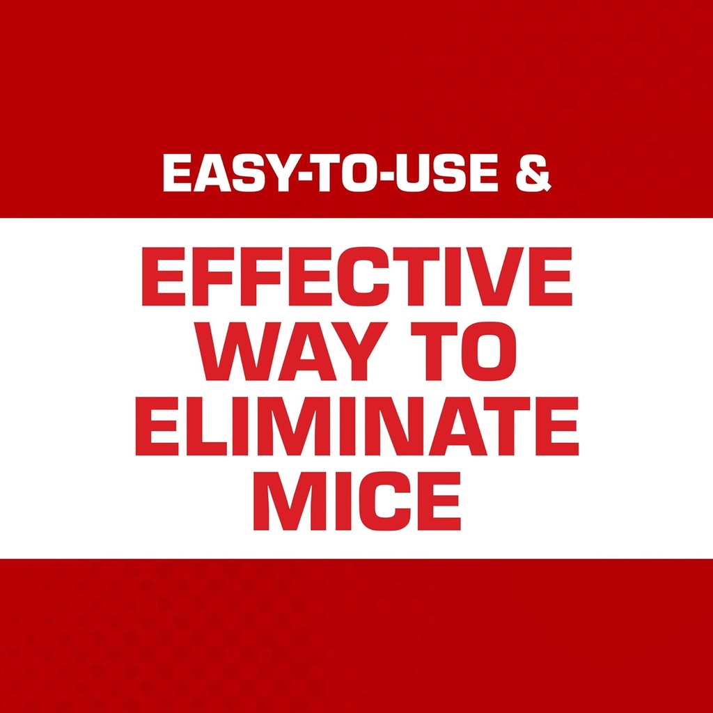tomcat-kill-contain-mouse-trap-never-see-3.jpg