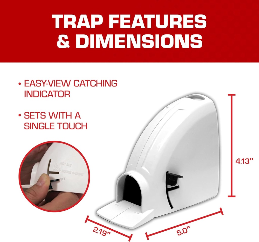 tomcat-kill-contain-mouse-trap-never-see-4.jpg