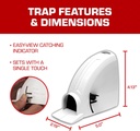 tomcat-kill-contain-mouse-trap-never-see-4.jpg