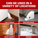 tomcat-kill-contain-mouse-trap-never-see-6.jpg