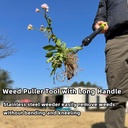 weed-puller-tool-48-long-handle-weeder-p-2.jpg