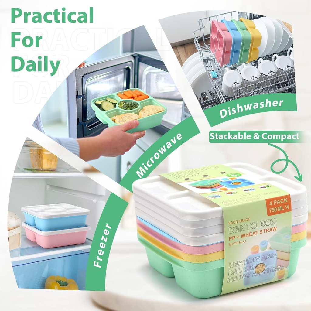 qqko-bento-snack-box-containers-for-adul-6.jpg