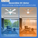ceiling-fans-with-lights-and-remoteapp-c-5.jpg