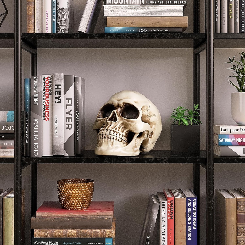 readaeer-resin-skull-human-head-model-fo-5.jpg