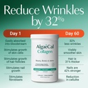 algaecal-collagen-4-clinically-supported-5.jpg