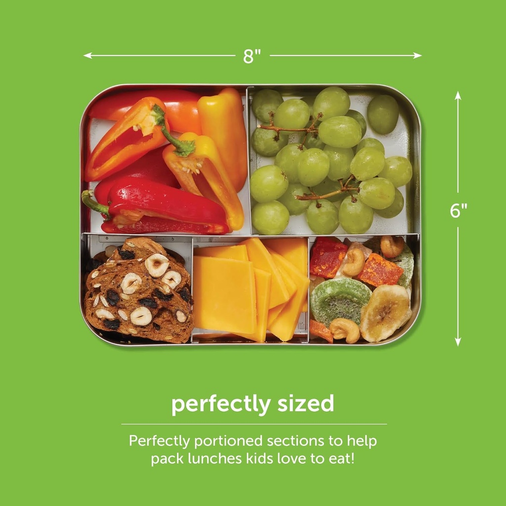 lunchbots-medium-quad-snack-container----4.jpg