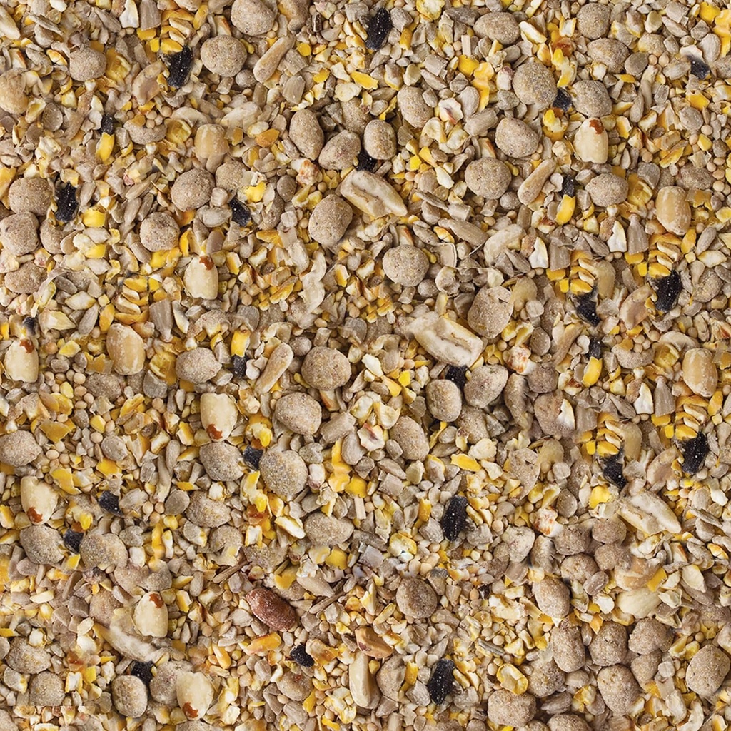 kaytee-seed-suet-no-mess-blend-blueberry-4.jpg