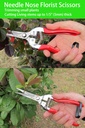 florist-scissors-potted-plants-bonsai-pr-4.jpg
