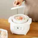 electric-stew-pot-1l-200w-with-ceramic-l-4.jpg