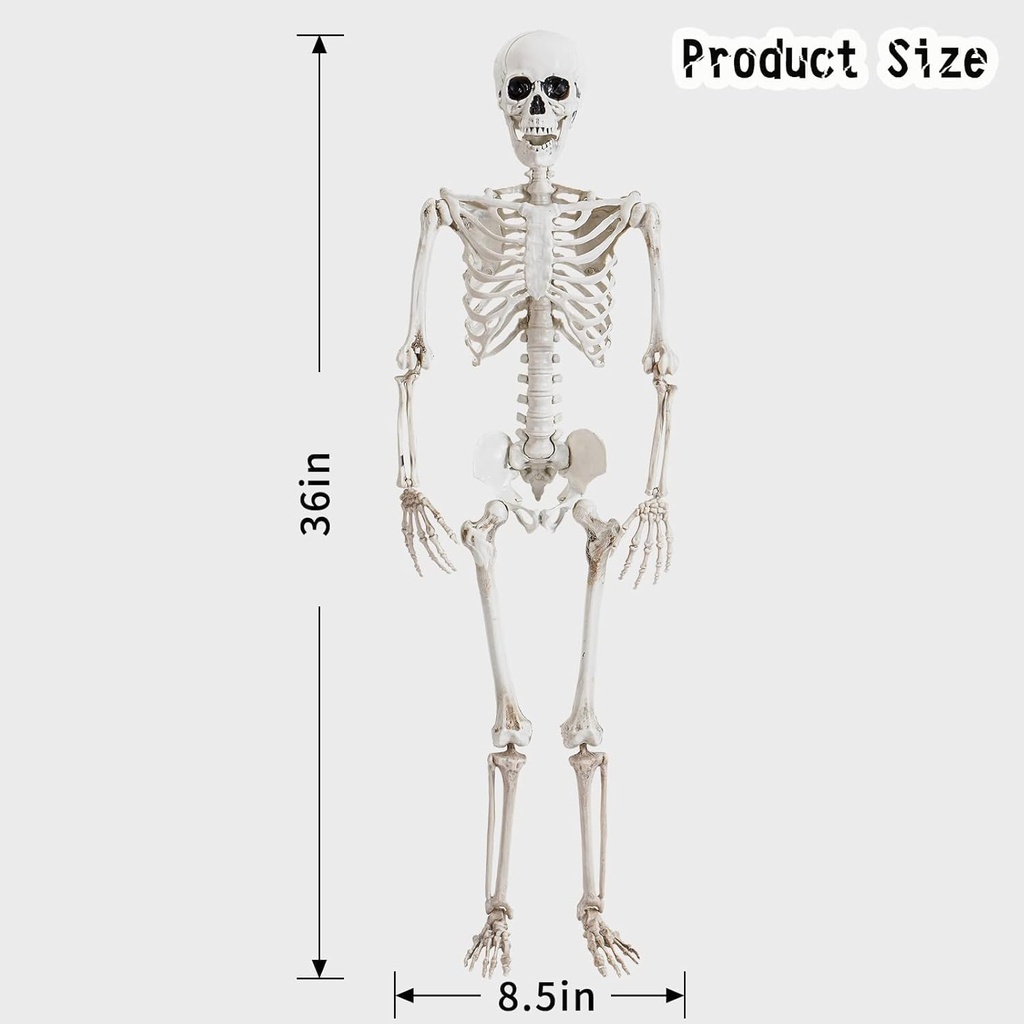 36-halloween-skeleton-decorationshuman-b-3.jpg