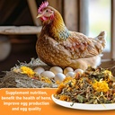 maqihan-10oz-chicken-nesting-herbs---dri-2.jpg