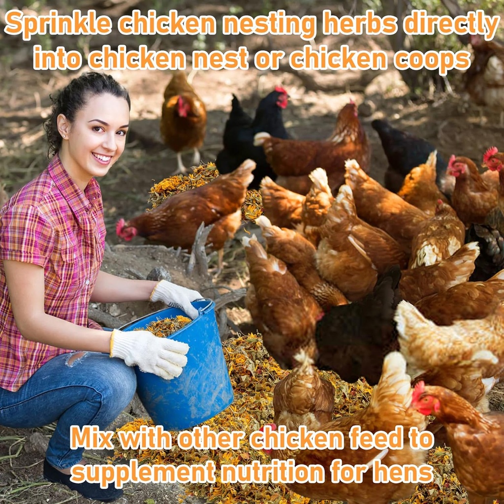 maqihan-10oz-chicken-nesting-herbs---dri-6.jpg