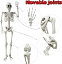 wocst-54ft165cm-halloween-skeleton-full--4.jpg