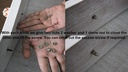 set-of-10-handmade-ceramic-knobs-ceramic-2.jpg