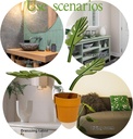 2pcs-mirror-monstera---bathroom-organize-4.jpg