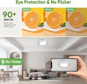 12-inch-flush-mount-ceiling-light-modern-6.jpg
