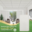 2ft-x-4ft-printed-pro-ceiling-tiles-wate-5.jpg