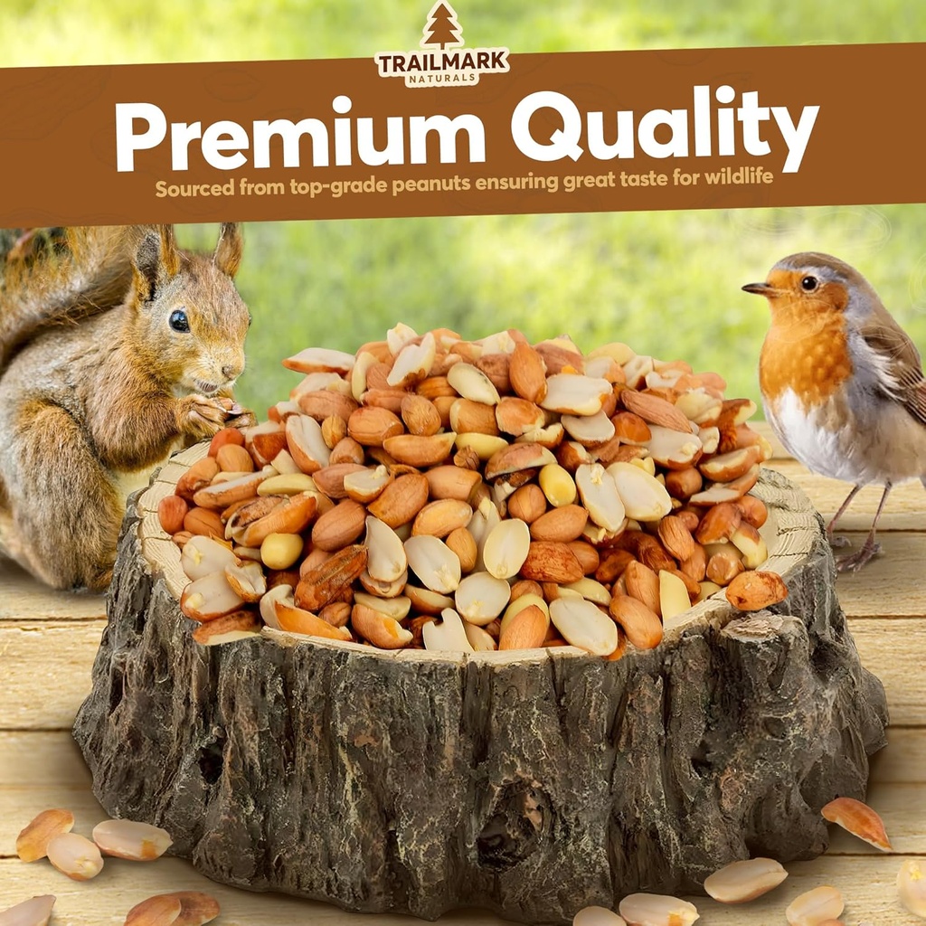 11-lb---raw-shelled-peanuts-for-squirrel-2.jpg