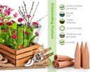 automatic-plant-waterer-terracotta-self--6.jpg