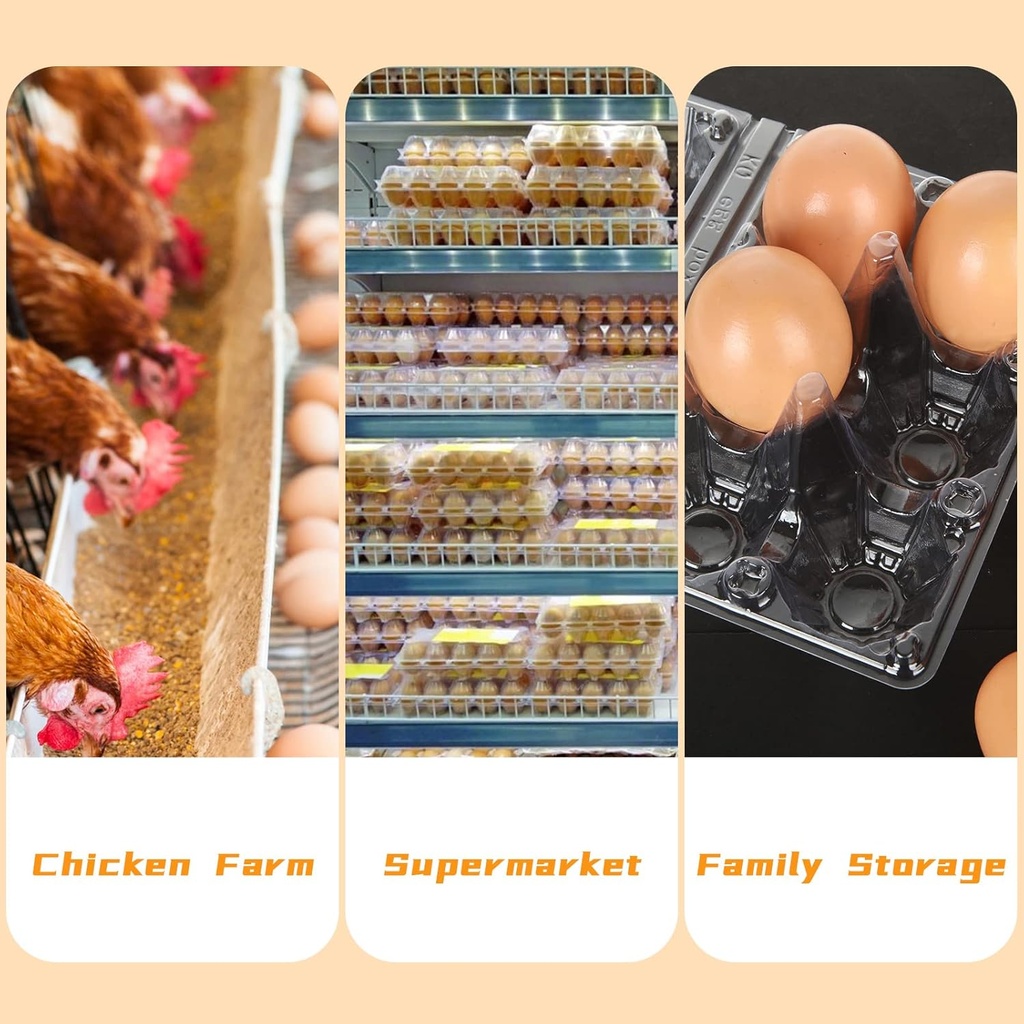 100pcs-plastic-egg-cartons-bulk-2x3-egg--3.jpg