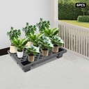 6-pcs-plastic-pallets-15-x-24-inch-water-3.jpg