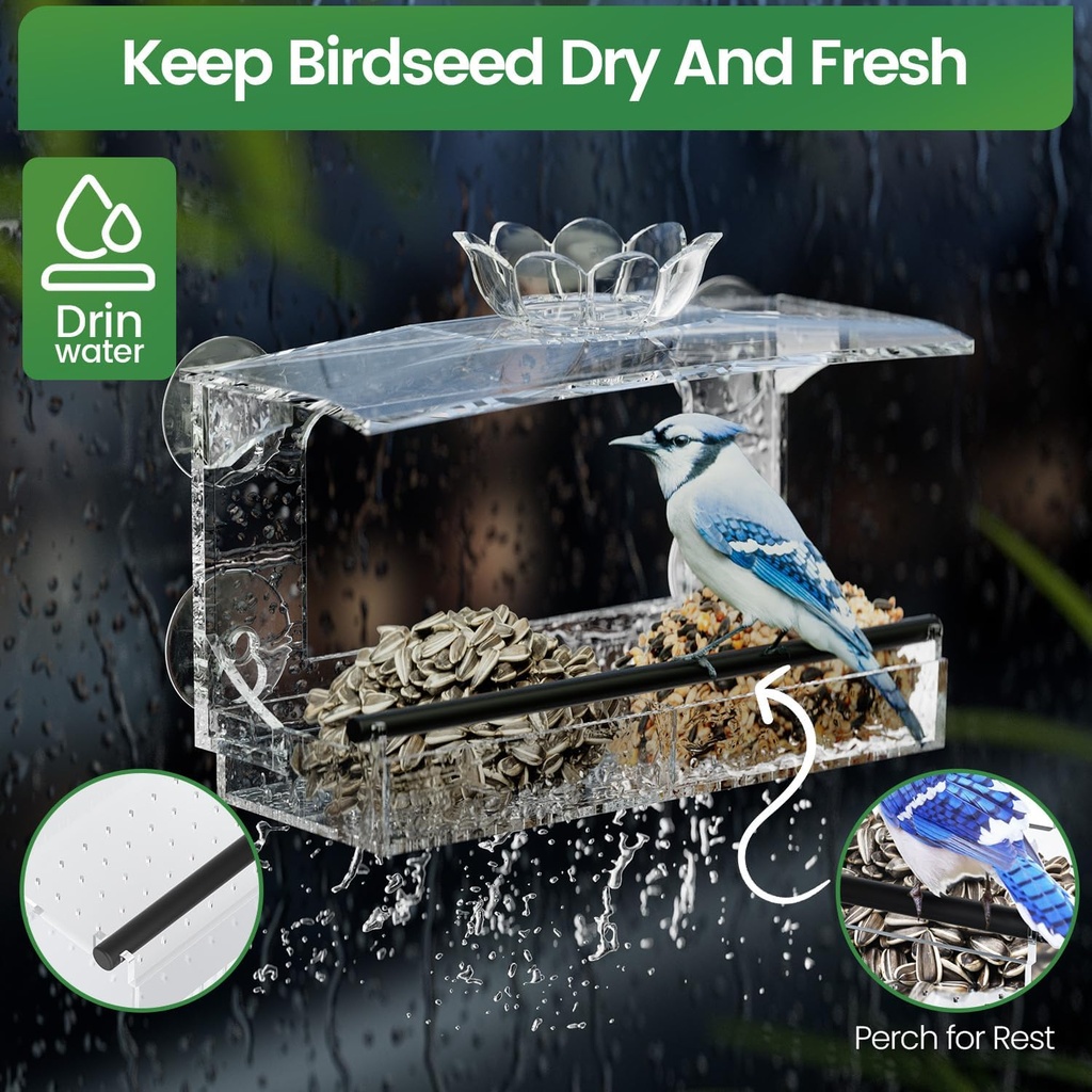 window-bird-feeder-for-outdoors-clear-ac-4.jpg