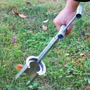 1pc-plant-and-fruit-tree-seedling-transp-5.jpg