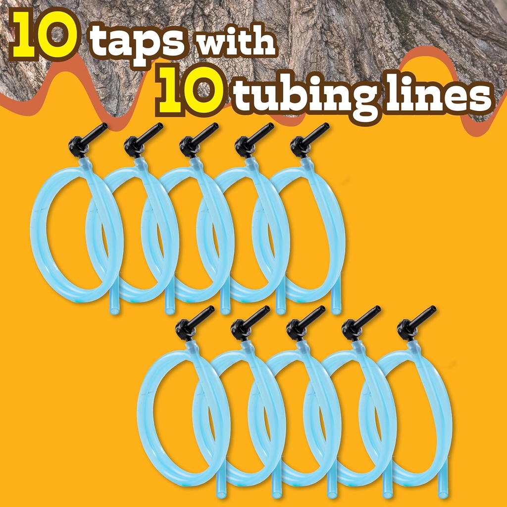 deluxe-maple-syrup-tree-tapping-sugaring-2.jpg