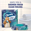 charmin-flushable-wipes-160-total-wipes--3.jpg