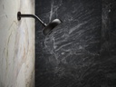kohler-statementTM-wall-mount-showerhead-2.jpg