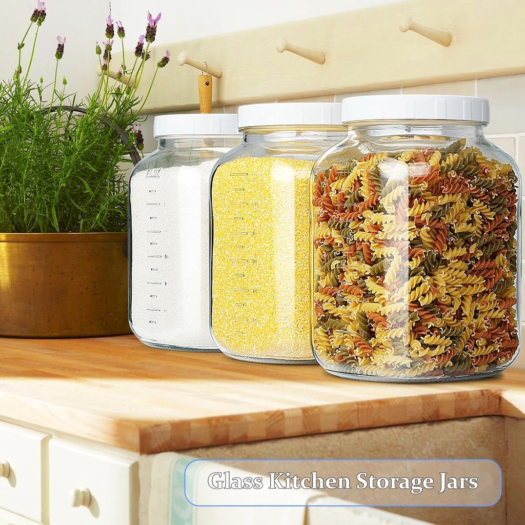 2-pack-1-gallon-large-fermentation-jars--4.jpg
