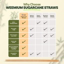 weemium-sugarcane-straws-300-pack-825-fs-4.jpg