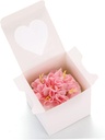 cabilock-20pcs-mini-cake-boxes-for-desse-4.jpg